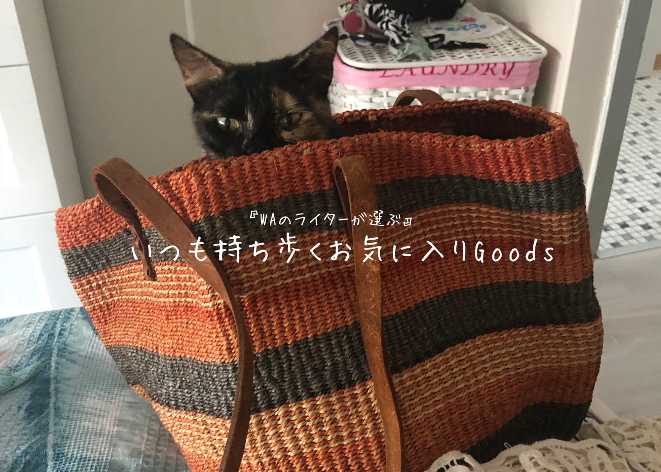 『WAのライターが選ぶ』いつも持ち歩くお気に入りGoods