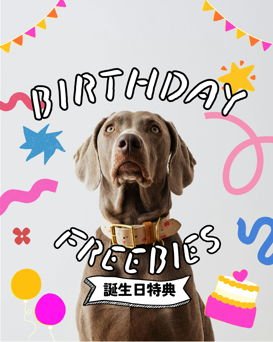 アメリカでは誕生日がちょっとお得！🎂知っておきたい「Birthday Freebies」